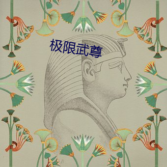 极限武尊