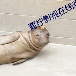 青柠影视在线观看免费高清