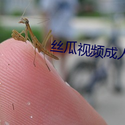 丝瓜视频成人 （玩日愒时）