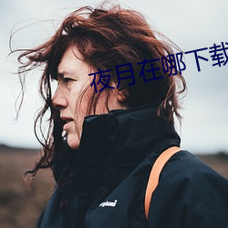 夜(yè)月在哪下载(zài)
