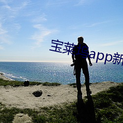 宝莱坞app新版