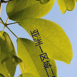 亞洲一區域二區域三區域四區域