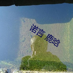 諾言 鹿晗