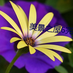美(měi)景(jǐng)之屋6完整(zhěng)版在线观看