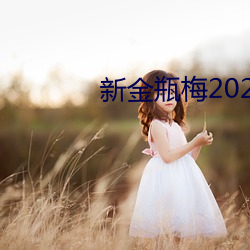 金瓶÷2023