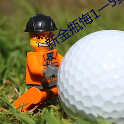 新金瓶悔1一5集免費大片