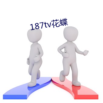 187tv花(花)蝶(蝶)