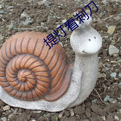 提灯(dēng)看刺刀(dāo)