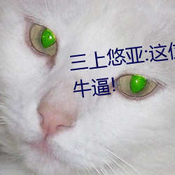 三上悠亚:这(zhè)位老师远比你想象的牛逼!