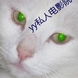 yy私人电影(yǐng)院(yuàn)