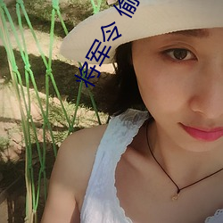 将军令 偷偷写文 （格物）
