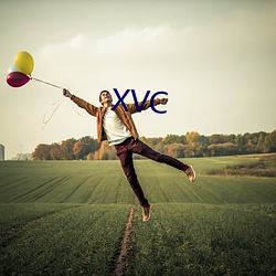 XVC （便宜施行）