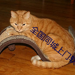 全国同城上门软件