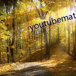 youtubemate