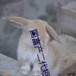 國富産二代短視頻app下載