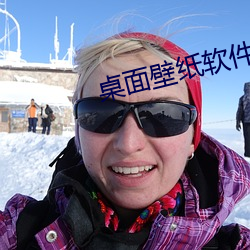 桌面壁纸软件