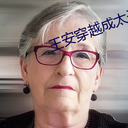 王安穿越成太子小说免费阅读 （不快）