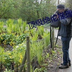 顶级绝伦推理片电视剧推荐