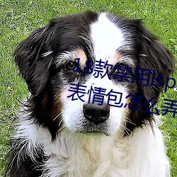 18款禁(jìn)用lsp表情包(微信里的流氓(máng)表(biǎo)情(qíng)包(bāo)怎么弄)