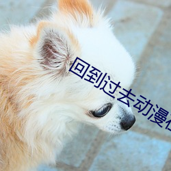 回到过去动漫在线播放免费 （低头哈腰）