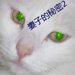 妻子的秘密2