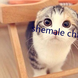 shemale chinese