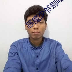 恶魔少爷别吻我小说