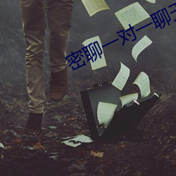 密(密)聊一(一)对(對)一(一)聊(聊)天软件(件)