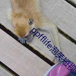 ppfflife泡芙短视频