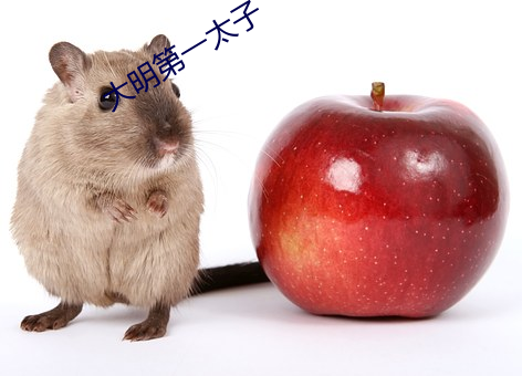 大明第(dì)一(yī)太(tài)子(zi)