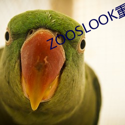 ZOOSLOOK重口另类