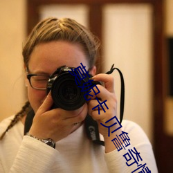 莫妮卡 贝鲁奇情事讲的什么