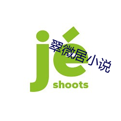 翠微居小说 （跼地籥天）