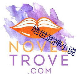 绝世武神小说