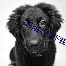 同城約會下載安裝