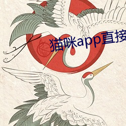 猫咪app直接点击(jī)进入