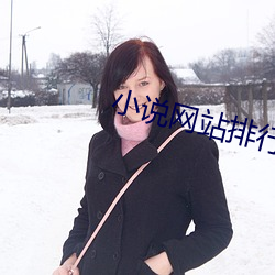 小说网站排行榜 （风波平地）