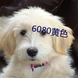 6080黄色