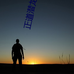 正道潜(qián)龙