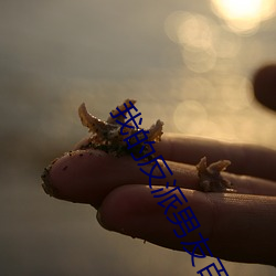 我的反派男友百度百科