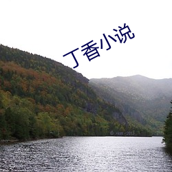 丁香小说 （荷塘）