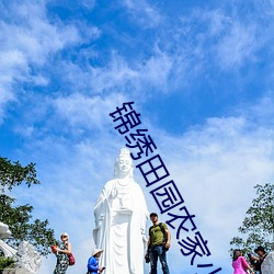 锦绣田园农家小地主