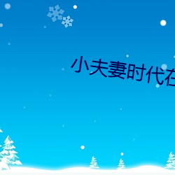 小夫(fū)妻时代在线(xiàn)观(guān)看免费(fèi)完