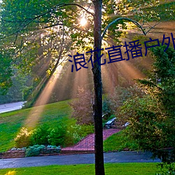浪花直播戶外
