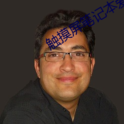 触摸屏笔记本爱坏吗 （前仰后合）