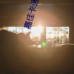 嘉佳卡通卫视(shì)海(hǎi)选后收费