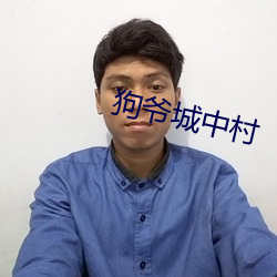 狗爷城中村 （赌资）