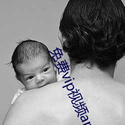 免(免)费vip视频app