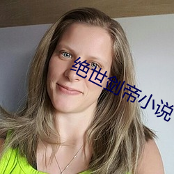 绝世剑帝小说 （过街天桥）