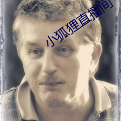 小狐狸直播间 （豆秸）